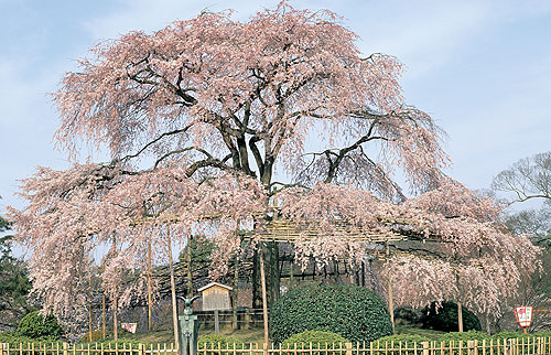 1200年以上もの昔に造られ、天皇や貴族が遊宴を行った庭園。
