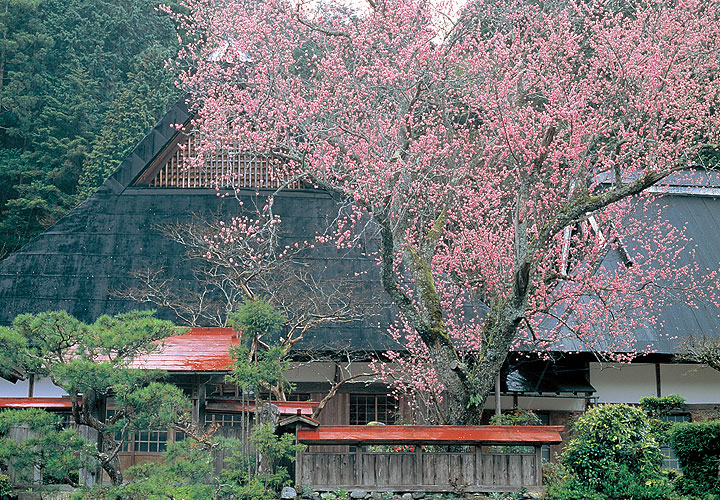 1200年以上もの昔に造られ、天皇や貴族が遊宴を行った庭園。